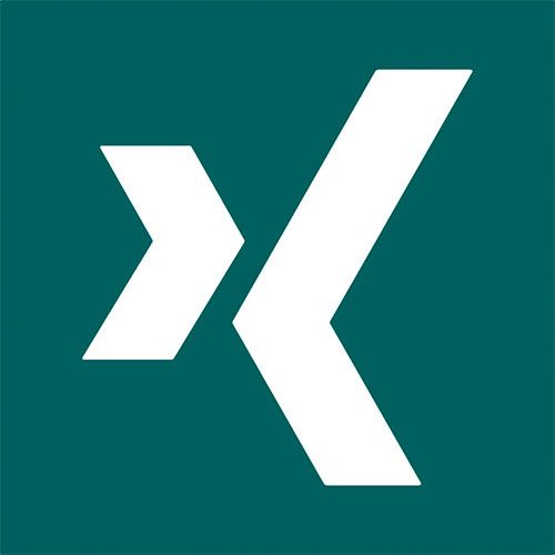 F/X Web Consulting auf XING